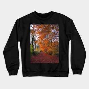 Autumnal Westridge Woods, Cotswolds Crewneck Sweatshirt